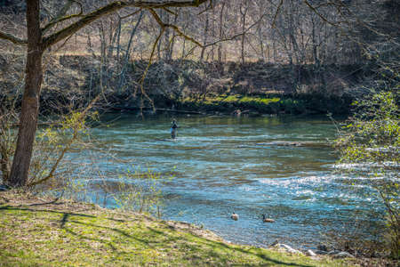 A single person wading in the water fly fishing with two Canadian geese swimming near by him on a bright sunny day at the Chattahoochee river Georgiaのeditorial素材
