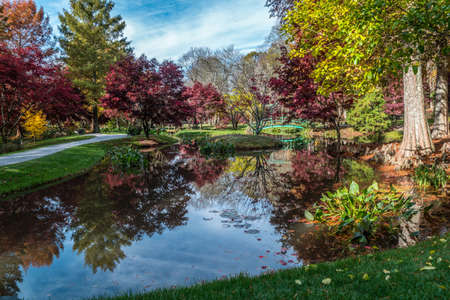 Ball Ground, Georgia/USA-11/16/18 Monet water gardens with aquatic plants and the colorful trees reflecting in the pond on a bright day in autumn time at Gibbs gardens in the north Georgia mountainsのeditorial素材