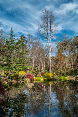 Ball Ground, Georgia/USA-11/16/18  A scenic view of the Japanese gardens in autumn with bright vibrant colors of all the plants bushes and trees on a clear sunny day in fallのeditorial素材