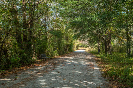 A sitting bench along the trail in a secluded spot surrounded by trees brush and fallen leaves on a...