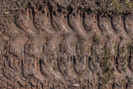 Looking down on tractor or bulldozer tracks imprinted in the mud at a construction site along the road on a sunny dayの写真素材
