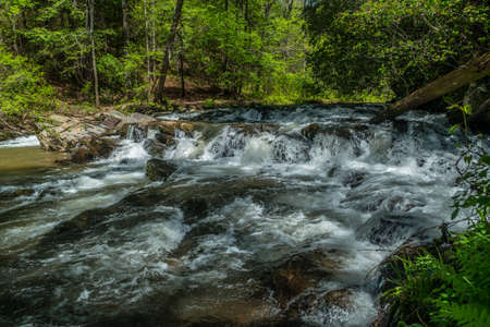 Rushing whitewater rapids flowing fast through the rocks and boulders downstream in the forest on a...
