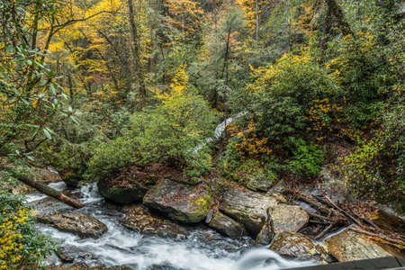 Looking down from the edge of the trail at the fast moving whitewater of the creek from the...