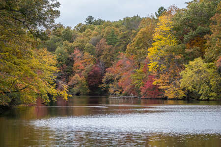 A mirror reflection in the water of multicolor trees of the woodlands surrounding the inlet of the...