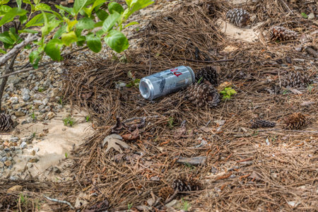 Cumming, Georgia USA - May 19, 2021  A Coors light beer can discarded on the ground near the beach...