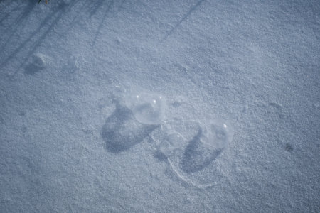 Looking down at several clusters of soap bubbles laying on the top of the snow covered ground with...