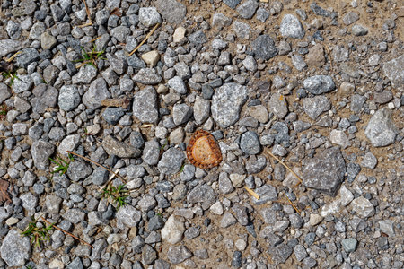 Top view looking down at a rusty metal bottle cap smashed in the gravel on the ground on a sunny day