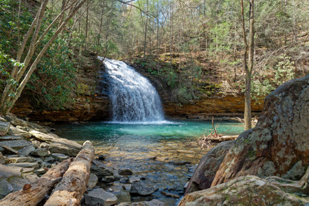 A full view of the flowing waterfall cascading into a turquoise color pool of water surrounded by boulders and trees on a sunny day in early springtimeの写真素材