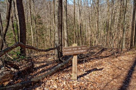 Every few feet along the edge of a trail on a mountain in the forest are wooden signs that say please stay on the trail fragile environment surrounded by fallen leaves and trees in early springtimeの写真素材
