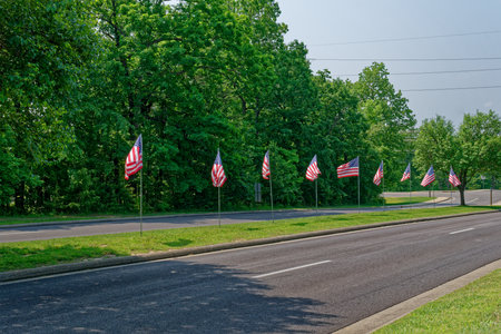 Row of several American full size flags along the road in the meridian for the memorial day holiday on a bright overcast day in springtimeの写真素材