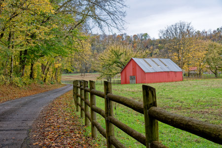 Driving down the backroads covered with fallen leaves along the wooden fence that surrounds the farmland with a bright vivid red barn and colorful trees on a overcast day in autumn timeの写真素材