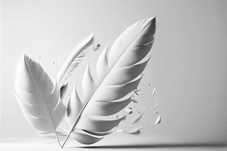 Feathers on a white background. 3d rendering, 3d illustration.の素材
