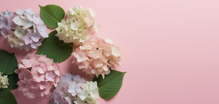Pink and white hydrangea flowers on pastel pink background mock up template for production...