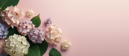 Flowers composition. Hydrangea flowers on pastel pink background. Flat lay, top view, copy space...