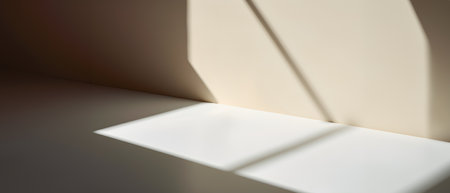 Creative interior concept. Large empty wall room with natural shadow. Banner template for product presentation. Mock up 3D rendering living, office, galleryの写真素材