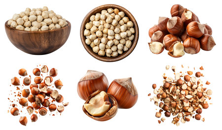Hazelnut cobnuts filberts nut seed fruit kernel, many angles view pile, wooden bowl, shell, drop fly, broken pieces, isolated on cutout. Mockup template for designの写真素材