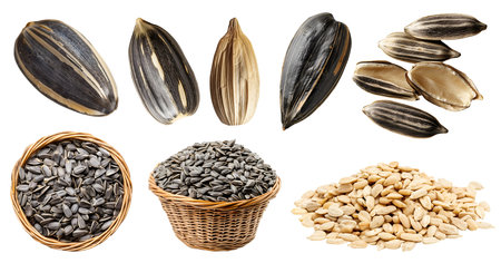 Sunflower seeds seed nut fruit kernel, many angles view side top pile stack, basket, with husk shell unshelled, raw isolated on cutout, Mockup template for designの写真素材