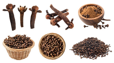Clove cloves spice plant flavouring fragrance bud herb, many angles and view side top front basket powder pile isolated on cutout file. Mockup template for artworkの写真素材
