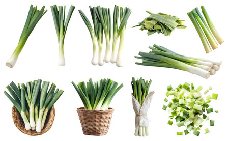 Leek, Scallion, spring onion vegetable plant stem stalk, many angles view side top front basket slice chop bundled isolated on cutout file. Mockup template for artworkの素材