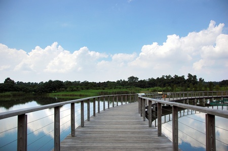 Long wooden bridge under the blue skyの写真素材