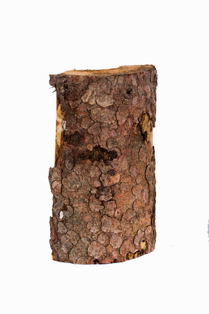 Just a piece of wood isolated on a white backgroundの写真素材
