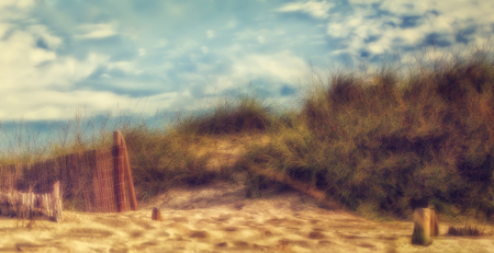 Dunes of Cala Mesquida, Majorca with a blue skyの写真素材