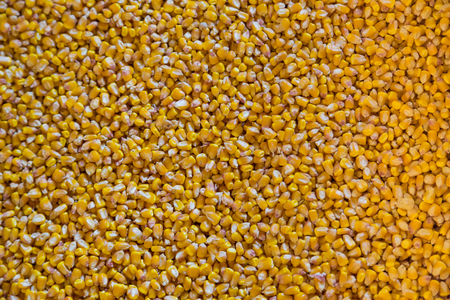 A pile of corn grains in the warehouseの写真素材