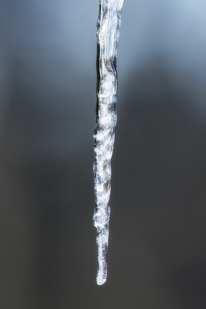 Long shining icicle against a blue background