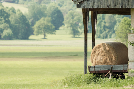 Hay bales on a trailer on a green meadowの写真素材