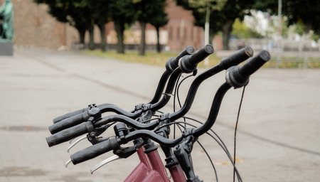 Many bicycles for rent