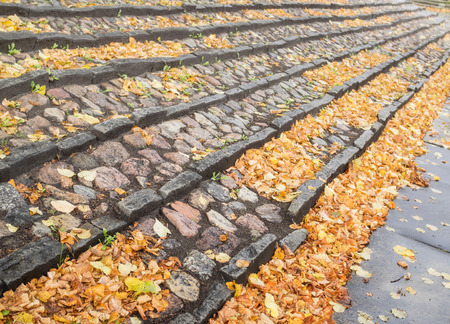 A staircase of stone with many autumn leavesの写真素材