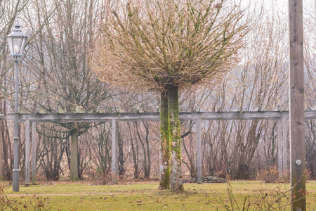 Impressions from the spa park in Bad Koetzting, Bavariaの写真素材