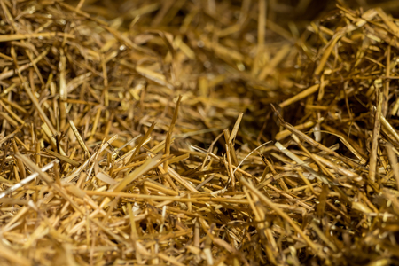 A pile of straw in the stableの写真素材