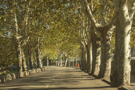 An empty highway in Mallorca, Spainの写真素材