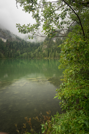 Nature shot at the Gleinkersee in Austriaの写真素材