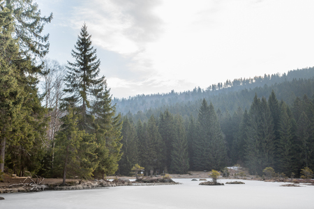 Winter landscape at the small Arbersee in Bavariaの写真素材