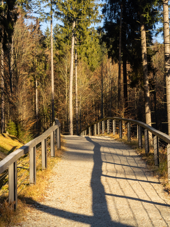 Landscape picture from the national park in Bavariaの写真素材