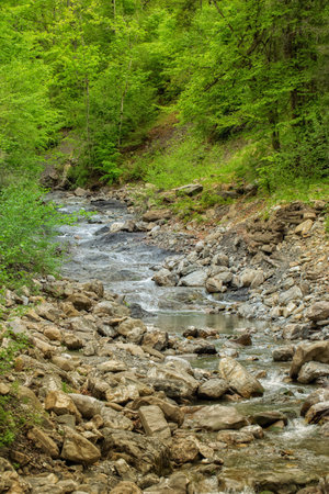 A wild river in the midst of impressive natureの写真素材