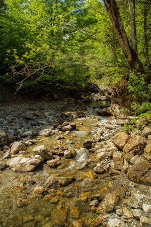 A wild river in the midst of impressive natureの写真素材