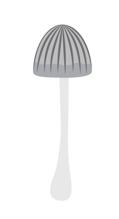 Grebe. Poisonous grey mushroom. Flat, cartoon, vectorのイラスト素材