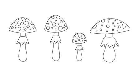 Amanita coloring book. Black and white set of poisonous mushrooms. Vectorのイラスト素材