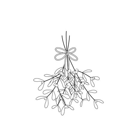 coloring page mistletoe. Black and white bouquet of mistletoe. Vectorのイラスト素材