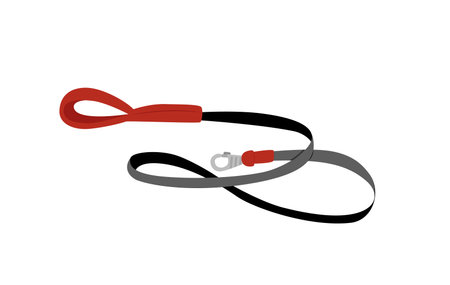 Leash for dog, cat, pet. Snell with lock. Red black leash. Cartoon, flat, vectorのイラスト素材