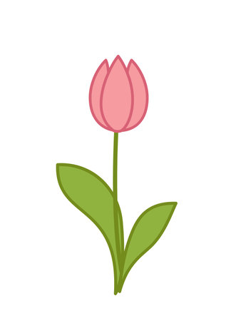 Pink tulip. Spring flower with leaves. Cartoon, vectorのイラスト素材