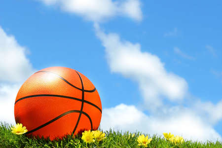 Basketball on the grass against blue skyの写真素材