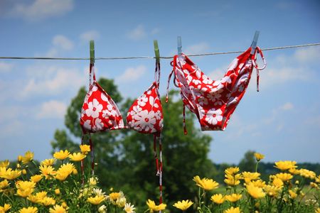  Bikini drying with wild flowers beneathの写真素材
