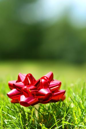 Red  bow with golf tee in the grassの写真素材
