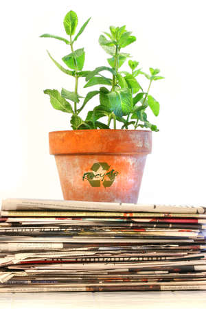 Potted plant on a stack of newspapers against white backgroundの写真素材