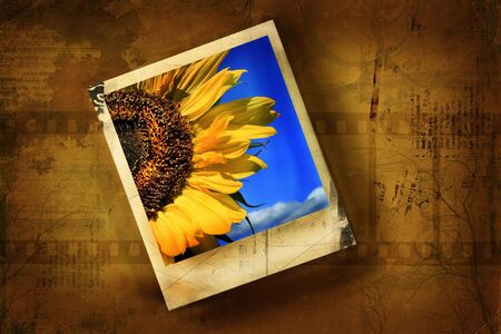 Old polaroid against grunge backgroundの写真素材