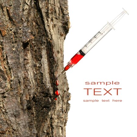 Syringe inserted into tree trunk on white /Environmental conservation issuesの写真素材